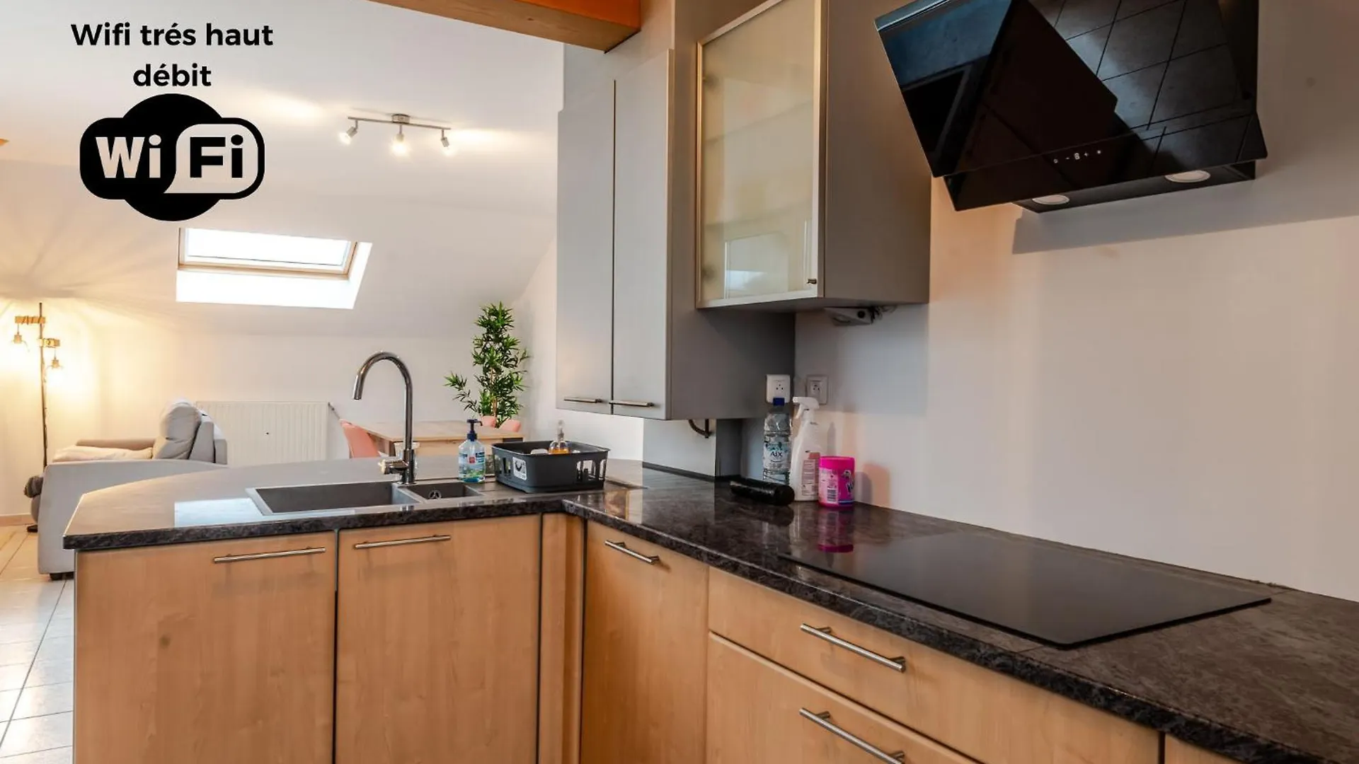 Appartement T2 Sublime Thonon-Les-Bains