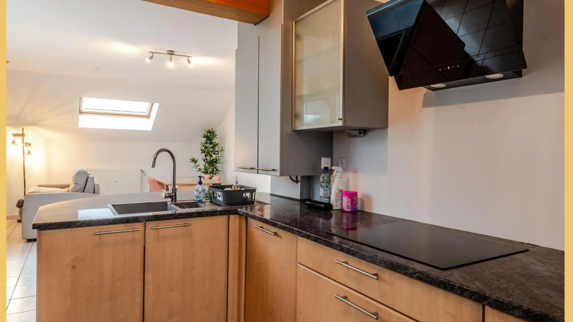 Appartement T2 Sublime Thonon-Les-Bains
