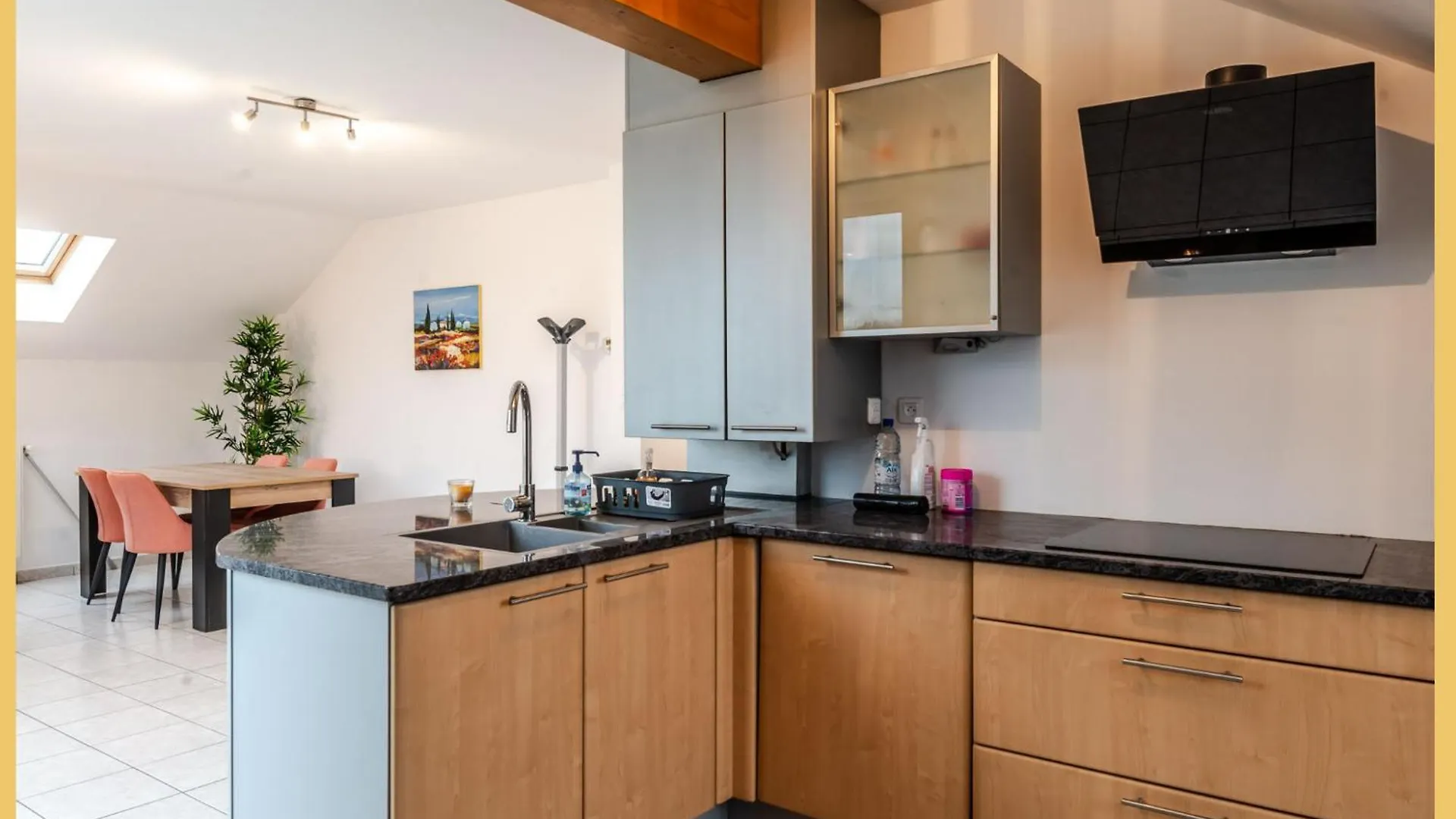 Appartement T2 Sublime Thonon-Les-Bains